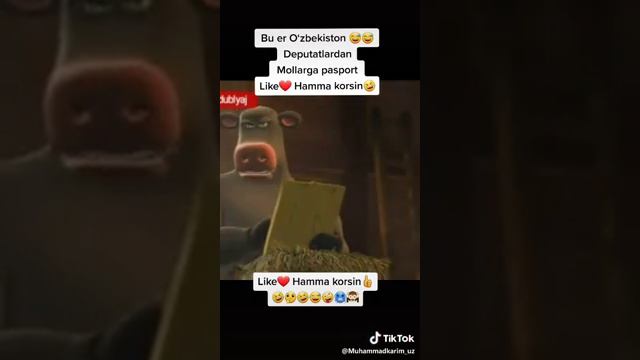Новый закон в Узбекистан смотреть онлайн