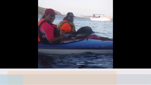 Beautiful Port Stephens in Mirage 582 Sea Kayak смотреть онлайн
