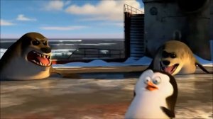 Пингвины Мадагаскара. Детство.