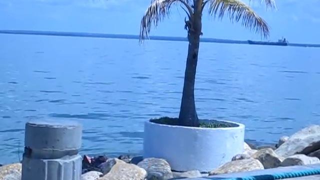 Tierra del sol amada. Maracaibo, Estado Zulia, Venezuela. смотреть онлайн