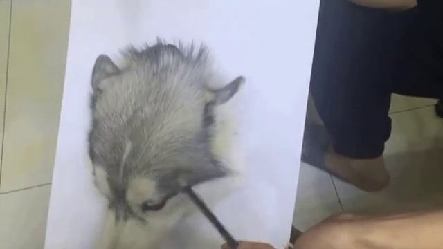 Рисую собаку смотреть онлайн