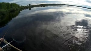 Рыбалка на Иртыше - Лето 2018 года. Уватский район,Тюменской области. Щука, окунь, язь в протоках!