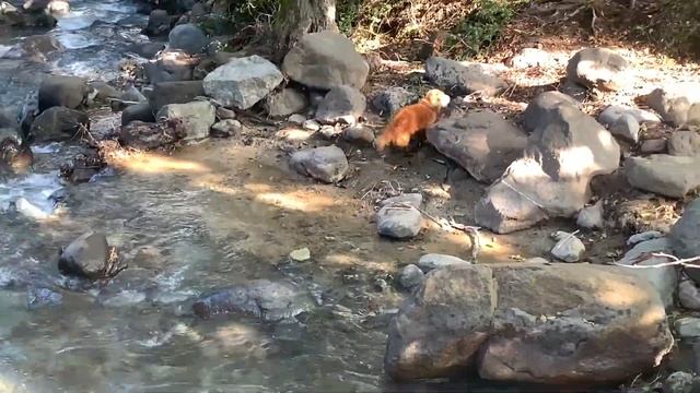 VLOG |  Уютная деревня Кипра | Столица Кипра - Никосия