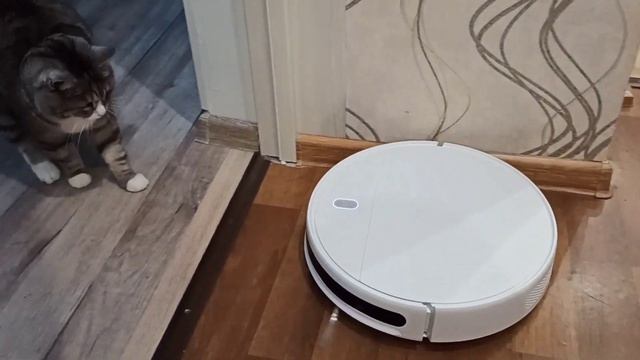 ещё одно желание сбылось / у нас пополнение смотреть онлайн
