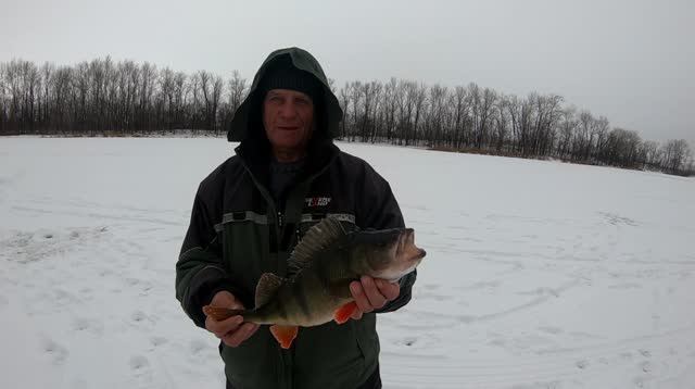 Окуневая рыбалка. Александровский затон. Волга. Самарская область. смотреть онлайн