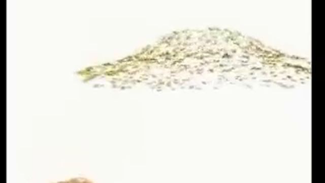 Запусти SMS-движение