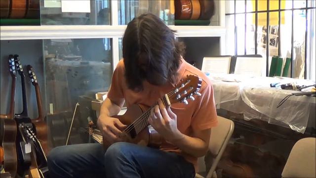 1983 Carl Hellweg Octave Guitar La Catedral Allegro Agustin Barrios Hayden Bargas смотреть онлайн