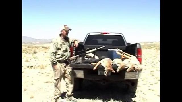Coyote Hunting - Predator Hunting - Predator Down #1 - Early Season Calling Tactics смотреть онлайн
