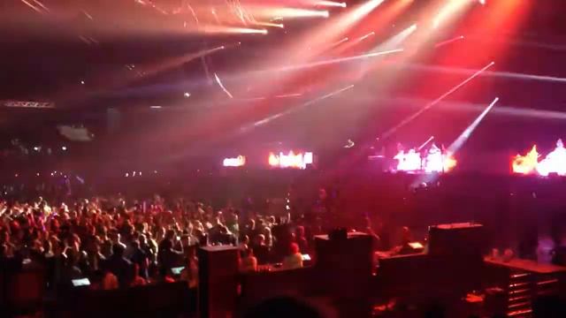 Tiesto - Animals Live @November Lights