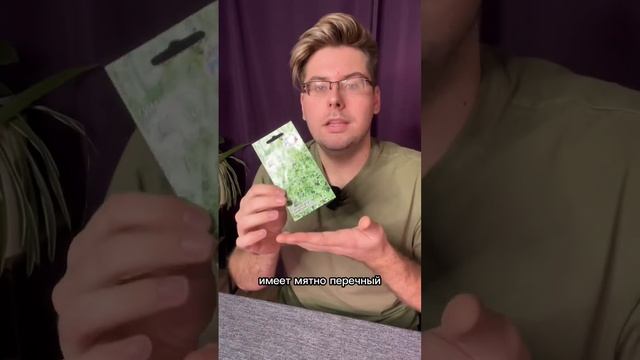 Чабер и Чабрец в чем их разница ? смотреть онлайн