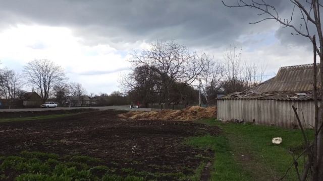 Утром в свинарнике. Подарки от сыночка с первой зарплаты .