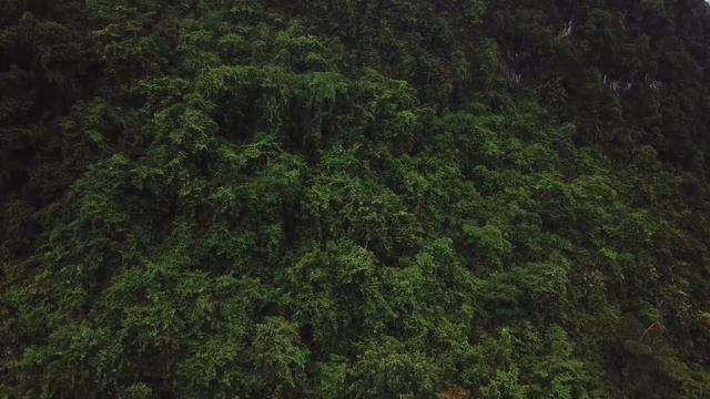 Русские пословицы и поговорки. смотреть онлайн