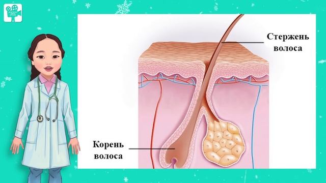 Азбука здоровья: Ногти и волосы смотреть онлайн