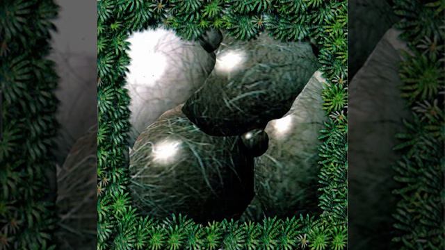 Аист (Александр Лаэртский) смотреть онлайн