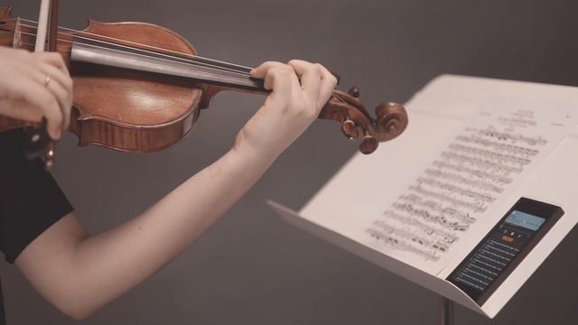 Beethoven - Violin sonata No.5 "Spring", Mvt.1, Allegro(full) смотреть онлайн
