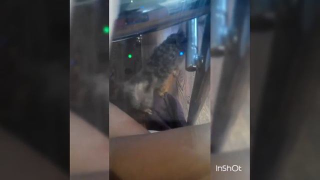 Мои рисунки акварелью