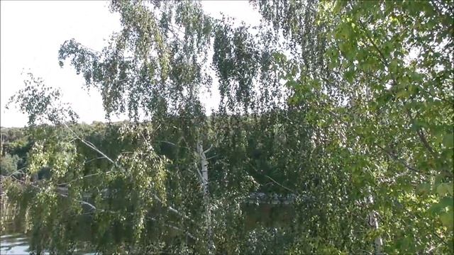 Москва Район Хорошёво-Мнёвники. Мнёвниковская пойма