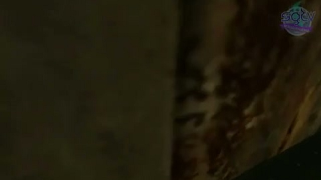 Разум Фримена Серия 19 смотреть онлайн