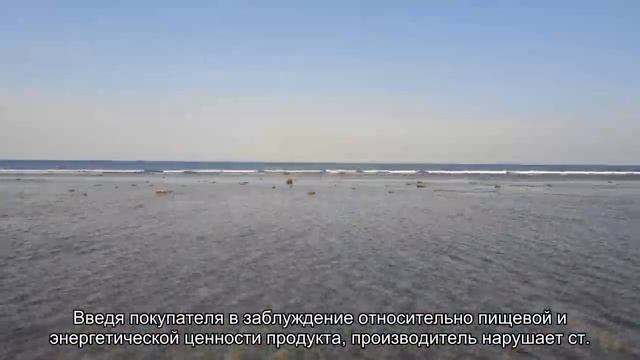 Какая рыба в Петербурге самая качественная: горбуша, форель или семга? смотреть онлайн