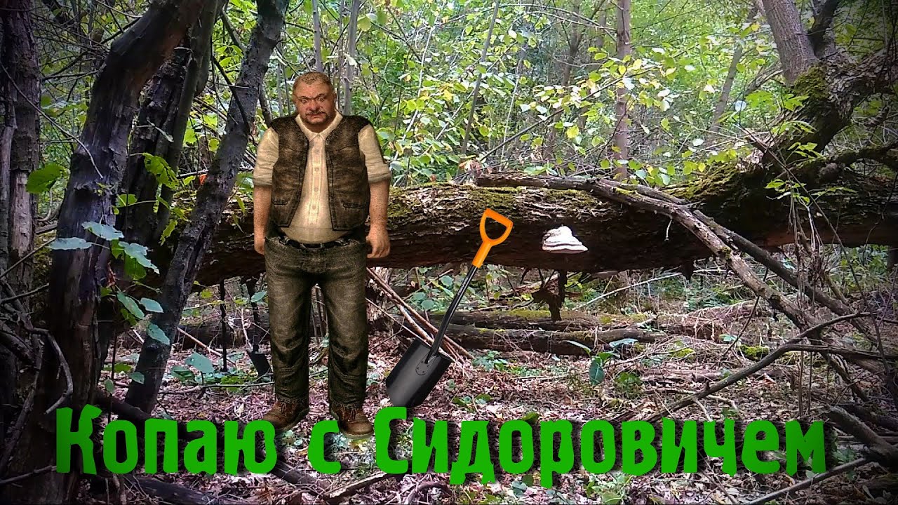 В старый лес с Сидоровичем. День советов 2. ACE250 MD6250 Mars Tiger