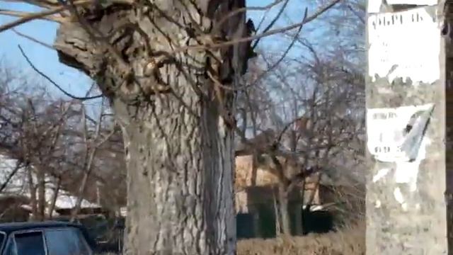 Работы в саду смотреть онлайн