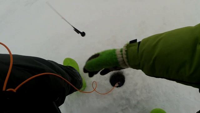 Ловлю на впайки! Классные поклевки окуня на блесну Клоп. Рыбалка на Ладоге в Кобоне смотреть онлайн