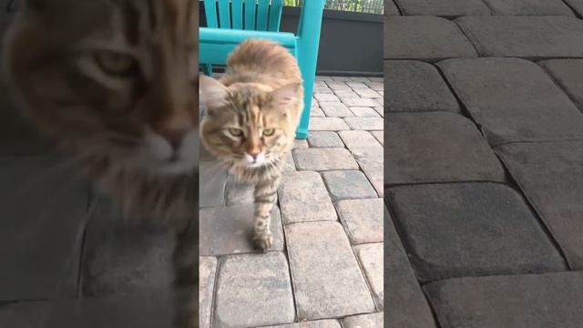 Воздушный поцелуй￼ смотреть онлайн