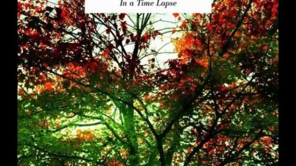 Ludovico Einaudi - Experience