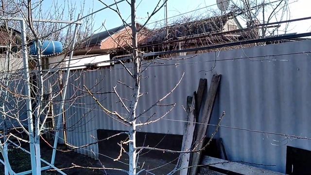 Персик и нектарин. Система веретено. Обрезка и формировка на третий год вегетации. смотреть онлайн