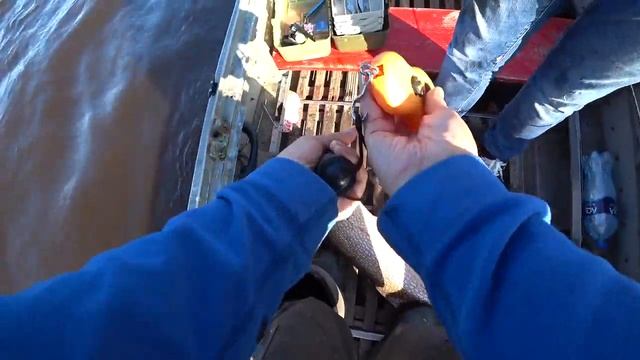 Трофейная рыбалка 2019 ,Обь.Крокодилы в ХМАО смотреть онлайн