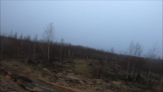 Загонная охота на ЛОСЯ 9-10.11.19. (18+). смотреть онлайн