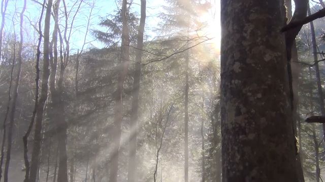 Восхождение на Афонку. Часть первая. смотреть онлайн