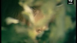 Женские истории 03.02.2001