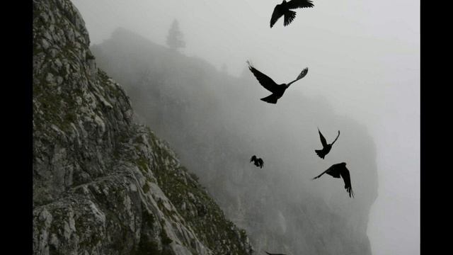 ОРЁЛ И ВОРОН стихи Васи Бубкина читает Дмитрий Канунов смотреть онлайн