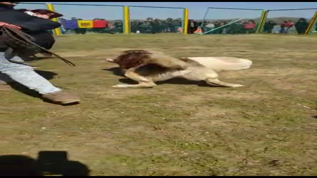 VID-20190407-WA0130 смотреть онлайн