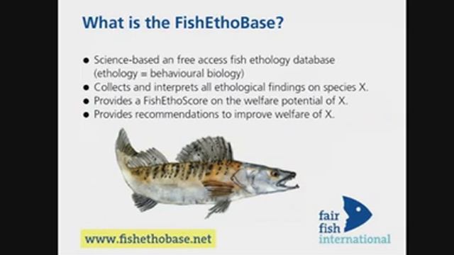 WEBINAR - Fish Welfare and Aquaculture смотреть онлайн