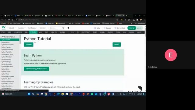 WordPress web design course 01 смотреть онлайн
