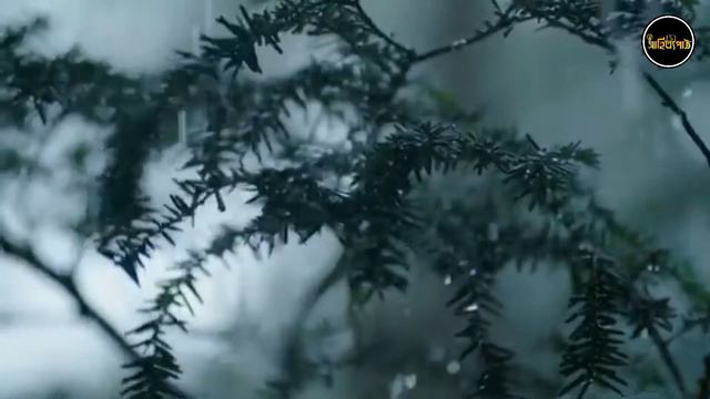 মেঘদূত কবিতা সমর সেন/Samar sen kobita Meghdoot।।সাহিত্যপাঠ смотреть онлайн