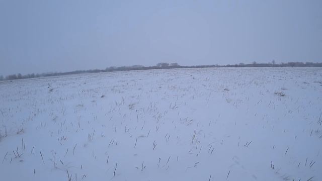 охота на зайца, для чего сдвойки и скидки смотреть онлайн