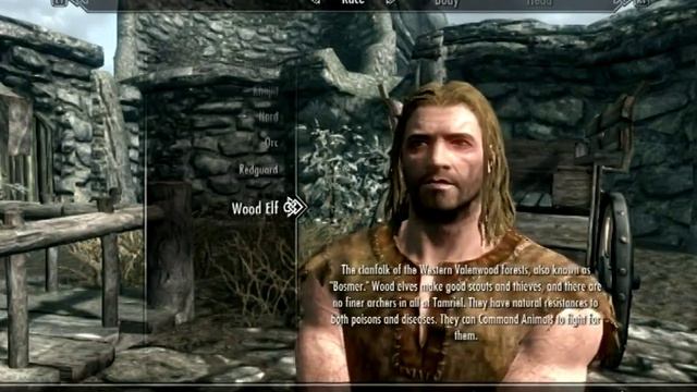 Skyrim Part 1 смотреть онлайн