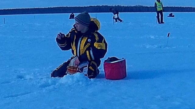 Чемпионат Тюменской области по мормышке 2015 (нарезка) смотреть онлайн