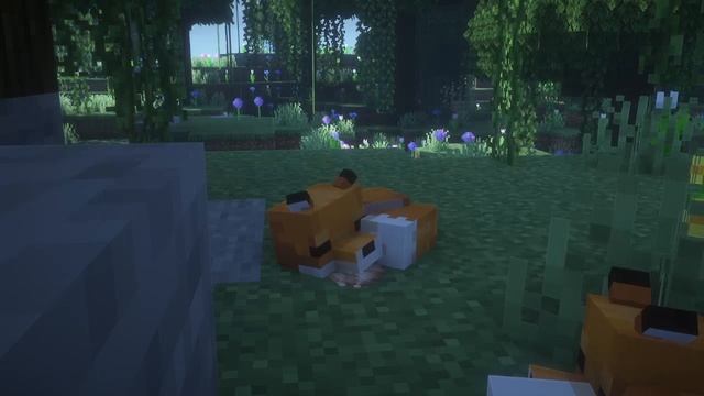 Minecraft | Foxes Sleeping & Snoring | Fresh Animations Resource Pack In Description! смотреть онлайн