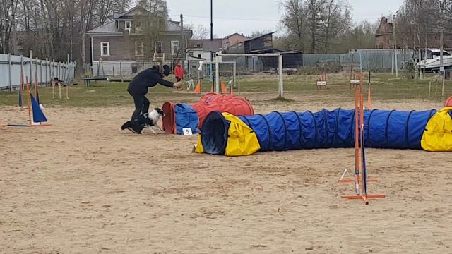 Соревнования 22.05.21 Йотун новички 1 смотреть онлайн
