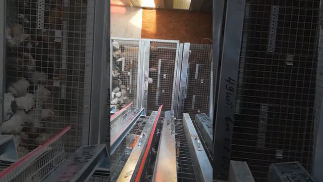 И снова о ГОВНЕ!!! смотреть онлайн