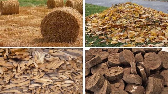 Подкормка томатов золой смотреть онлайн