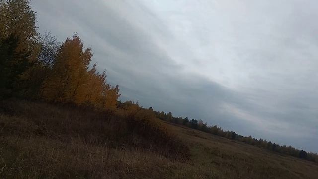 Почему не все боятся клещей смотреть онлайн
