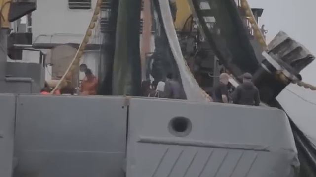 Страсти вокруг иваси: очереди за легендарными консервами становятся километровыми смотреть онлайн