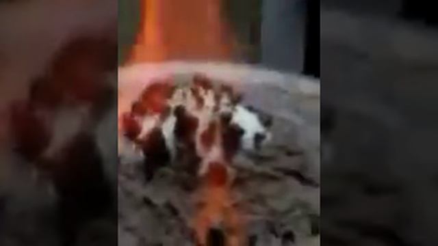 Черви смотреть онлайн