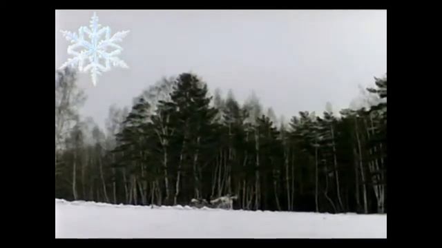 Ой, снег, снежок