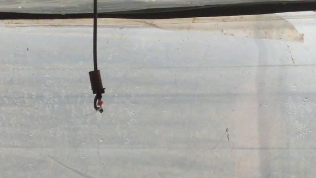 Верхний полив первый полив редиски